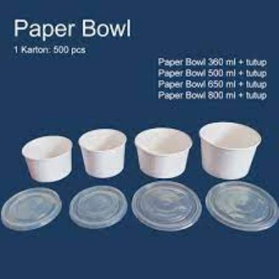 paper bowl 11.jpeg